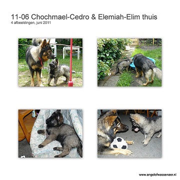 Chochmaël-Cedro & Elemiah-Elim samen